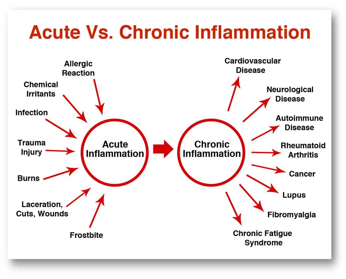 acute vs chronic pain inflammation